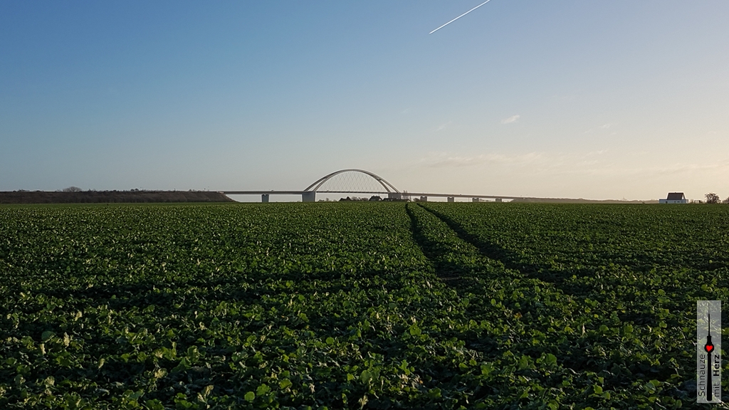 FehmarnsundbrÃ¼cke (1)