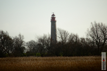 img_8856